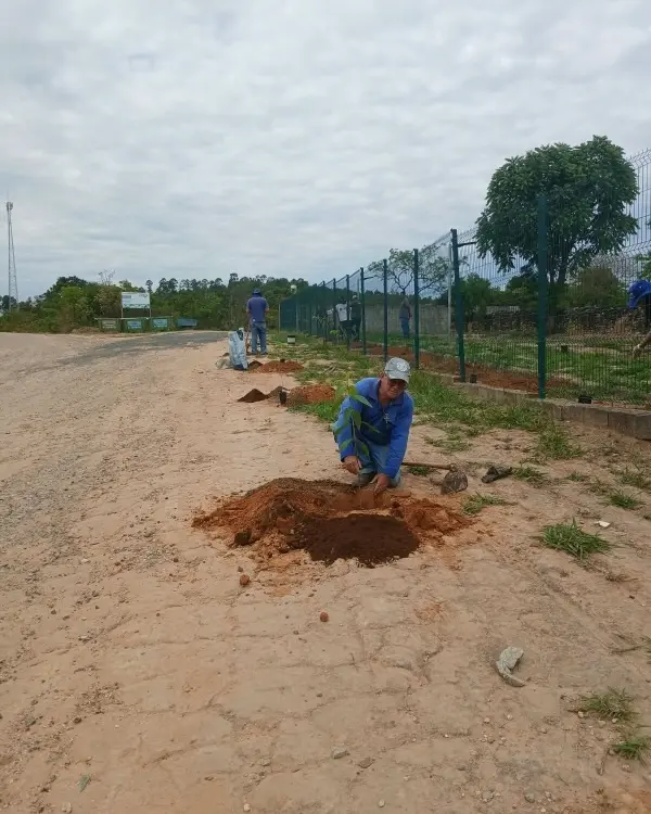SAAE planta 36 mudas de árvores no Cemitério do Córrego do Soldado