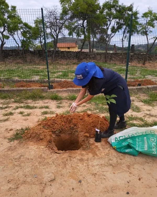 SAAE planta 36 mudas de árvores no Cemitério do Córrego do Soldado
