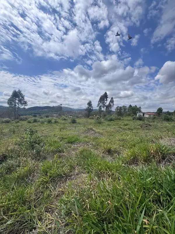 Chácara à venda no Angicos, terreno de 840 m²