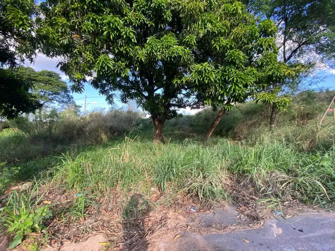 Lote à venda na Vila da Serra – R$ 300 mil
