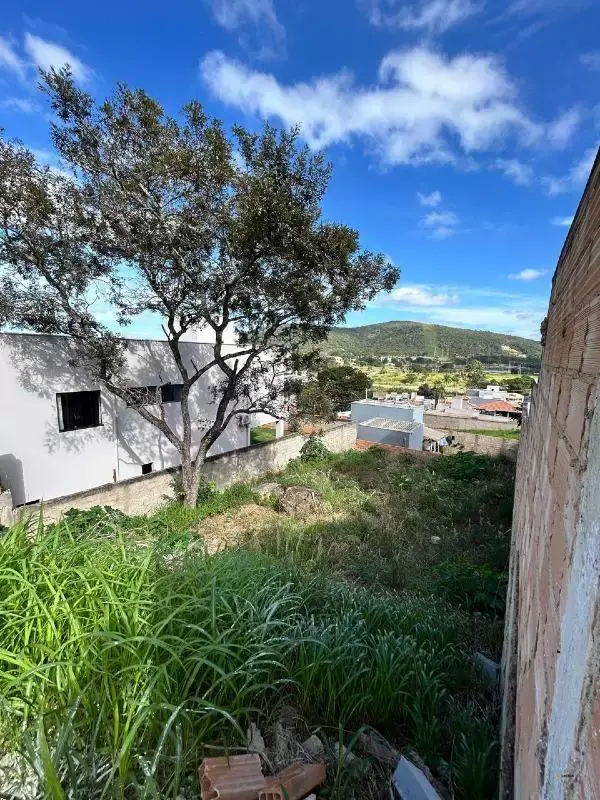 Lote à venda, Centenário