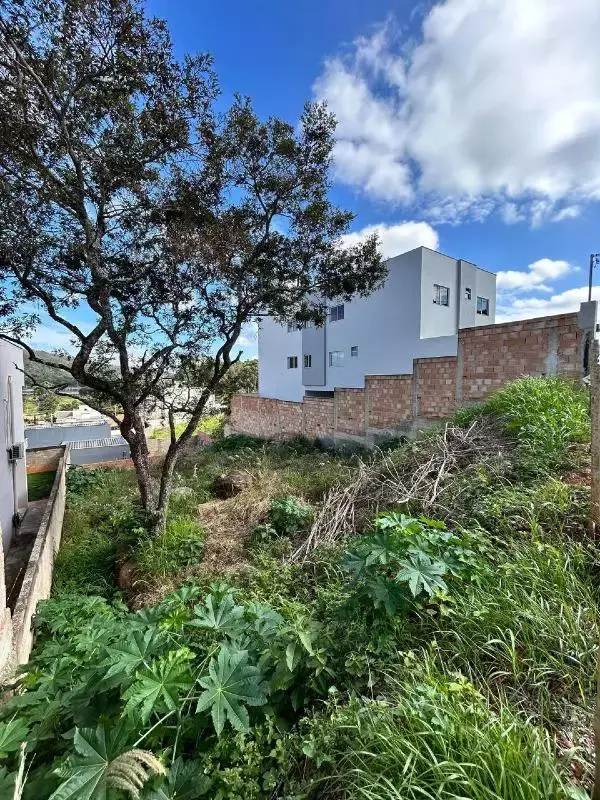Lote à venda, Centenário