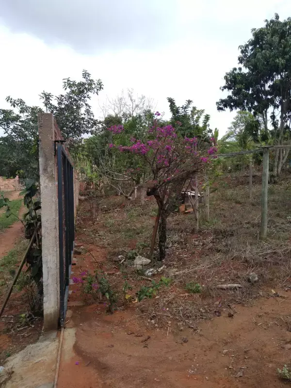 VISTA ALEGRE - ZONA RURAL (ITAÚNA) — Chácara à venda com 3.000 m²