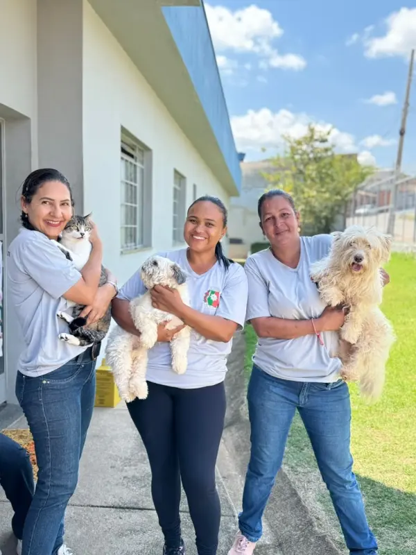 Itaúna vacina mais de 12 mil animais contra a raiva na campanha antirrábica