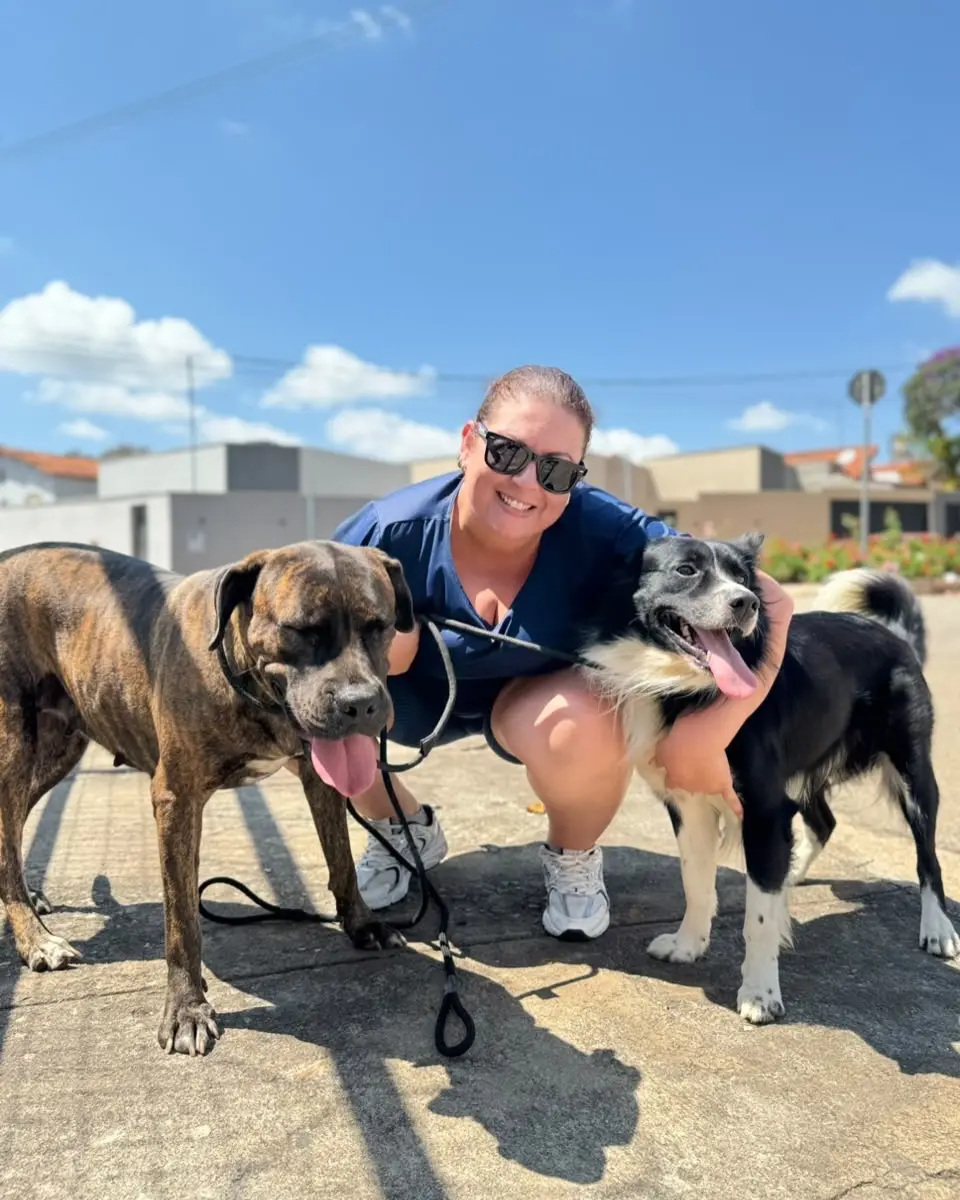 Campanha antirrábica soma quase 13 mil animais vacinados