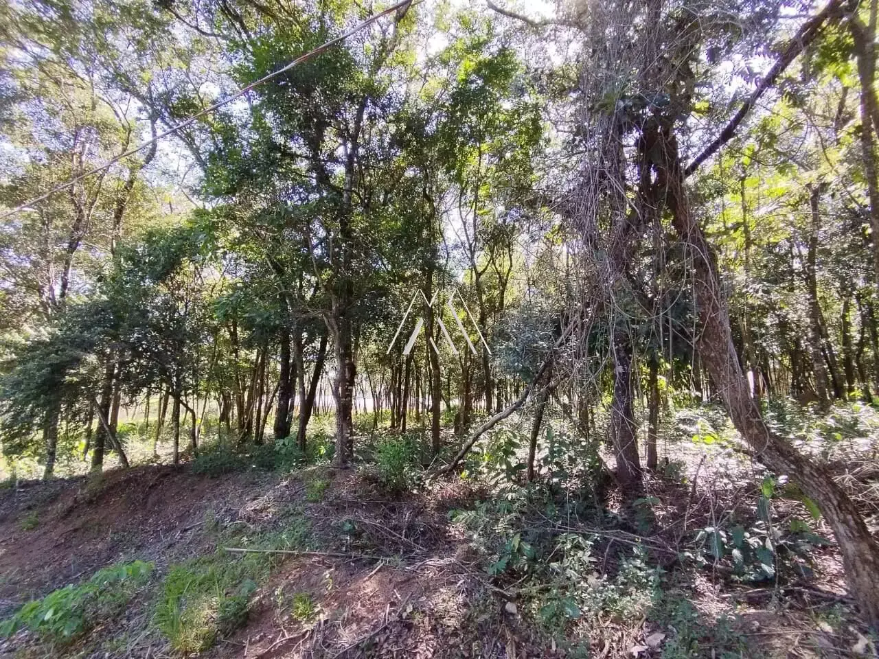 Lote de 1.144 m² no Condomínio Recanto dos Pássaros
