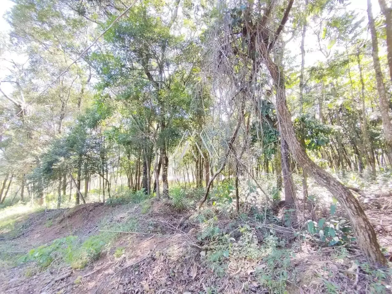 Lote de 1.144 m² no Condomínio Recanto dos Pássaros