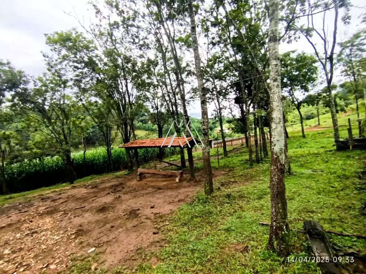 Vendo fazenda em Itaúna de 12 hectares com excelente localização