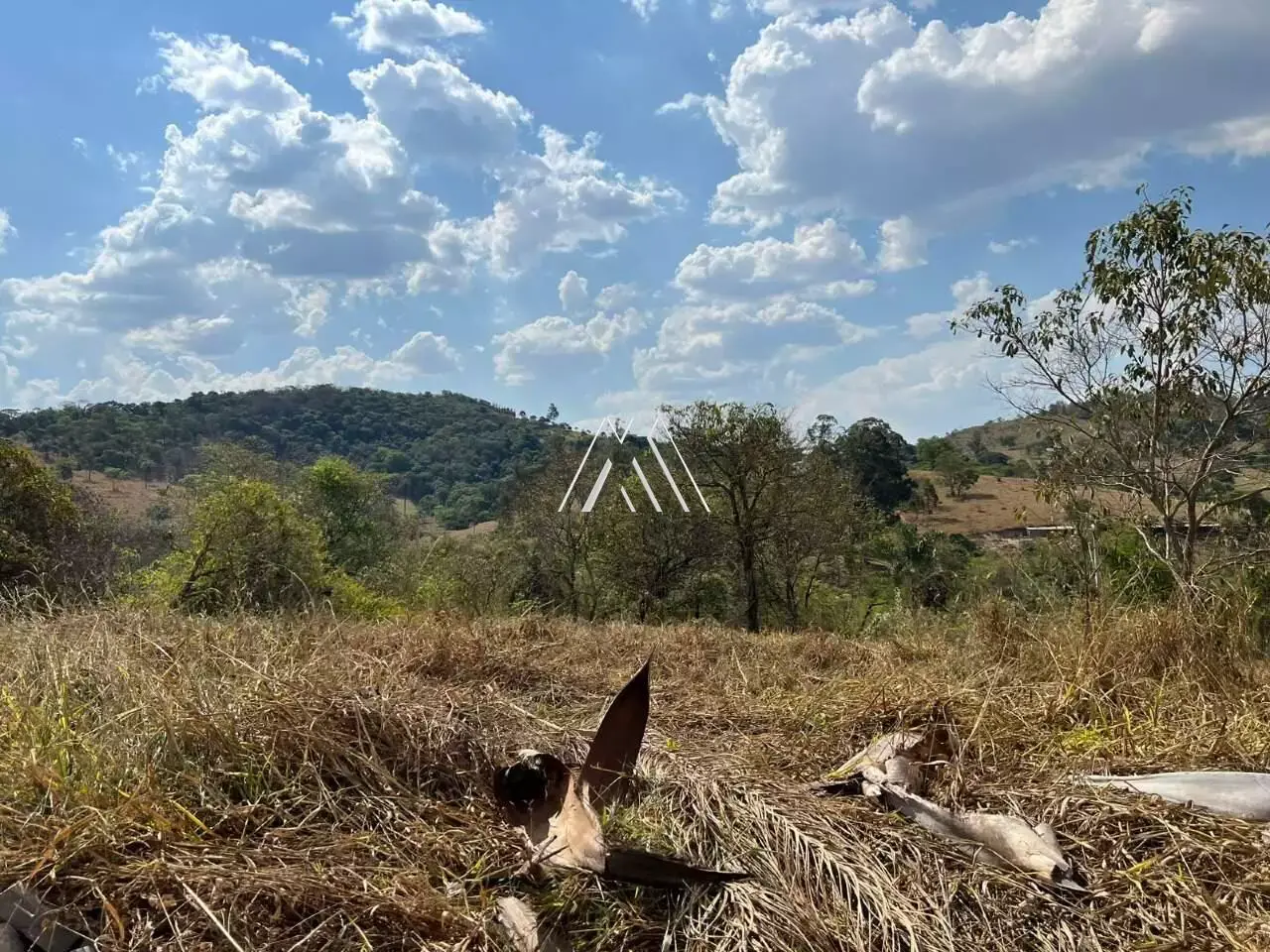 Vendo chácara com 1.000m² no Paraíso dos Coqueiros
