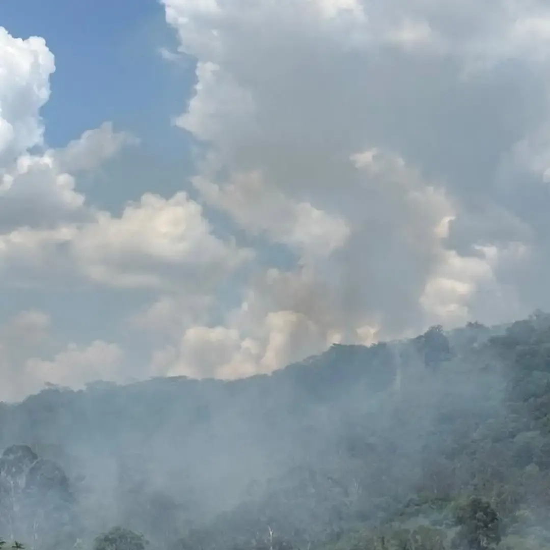 Incêndio consome 20 hectares no bairro Santanense