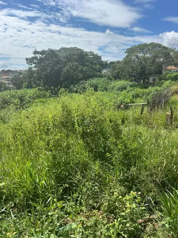 Terreno à venda na Vila Nazaré - Investimento