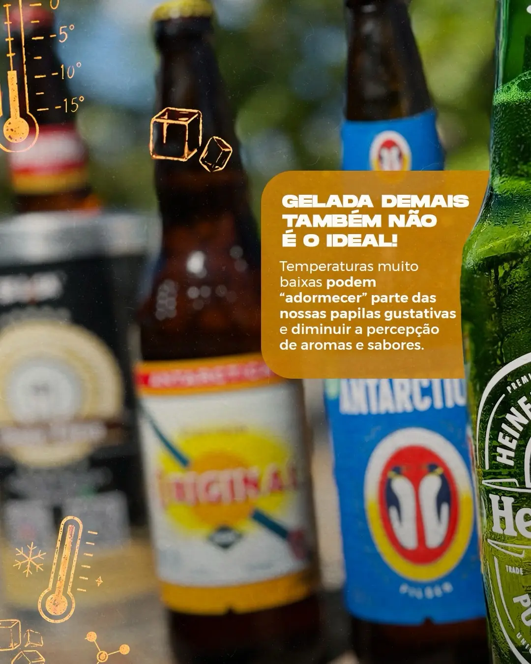 Cerveja gelada na varanda da Cantina Donatina