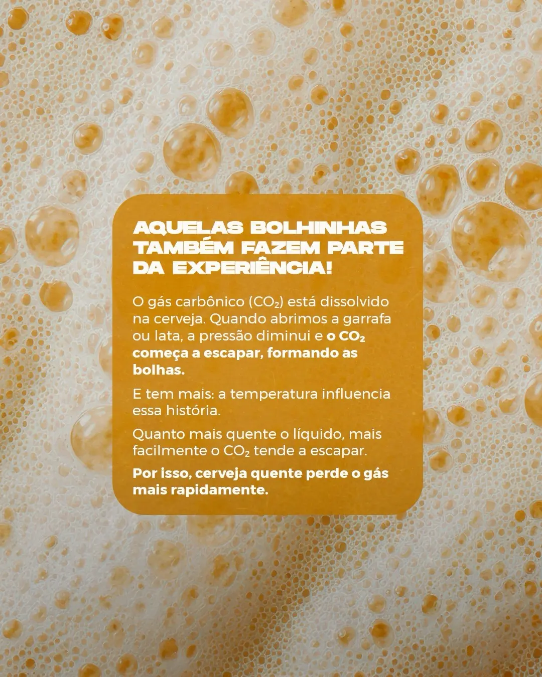 Cerveja gelada na varanda da Cantina Donatina