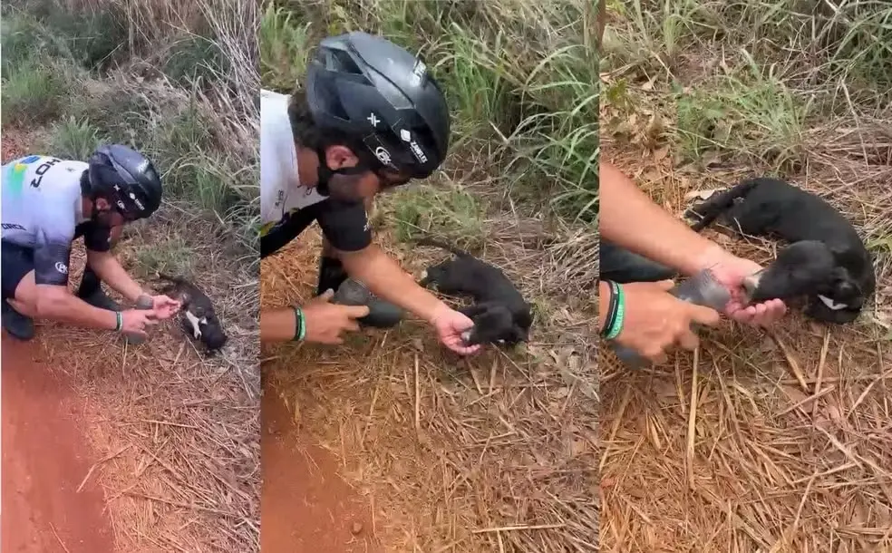 Ciclista resgata cachorro abandonado no Cerrado