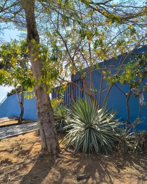 SAAE de Itaúna realiza pintura em reservatório, lixeiras e ETA