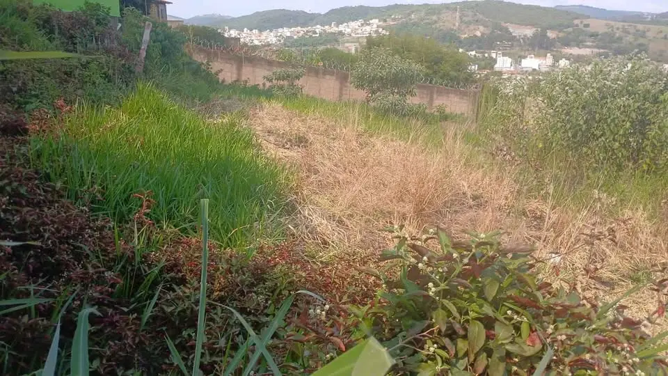 Lote 500 m² à venda no Santo Antônio