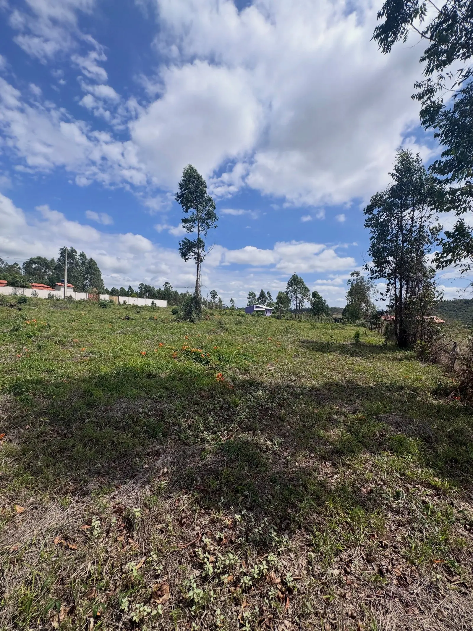 Chácaras em Angicos com 840 m² à venda