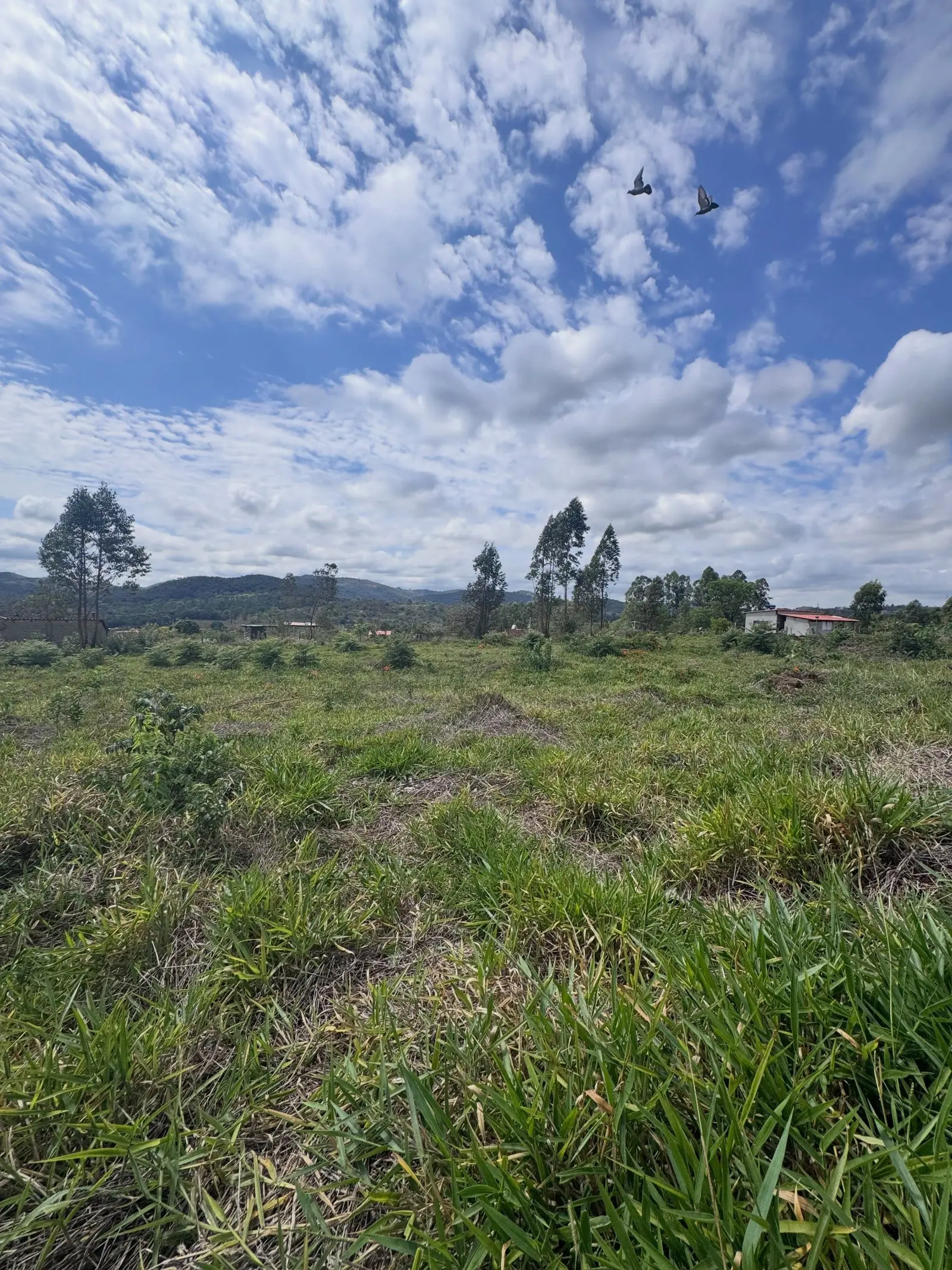 Chácaras em Angicos com 840 m² à venda