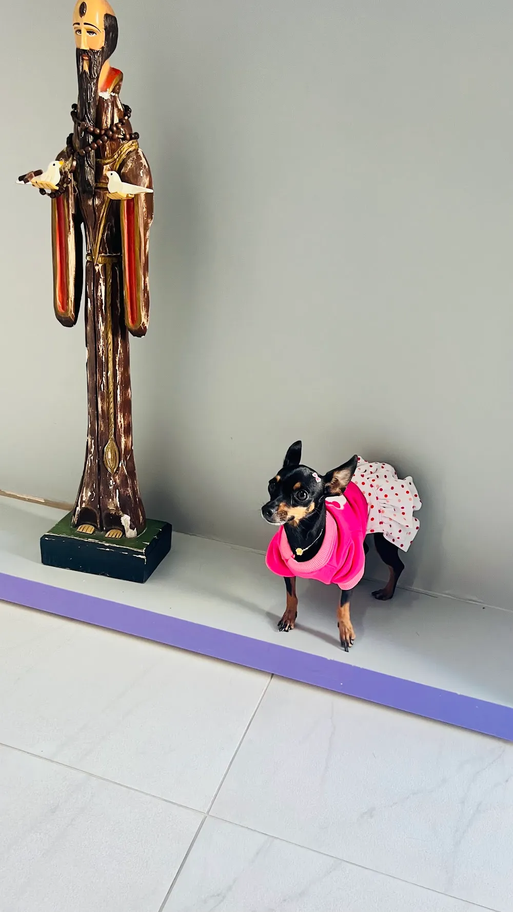 Uniclinica clinica veterinária