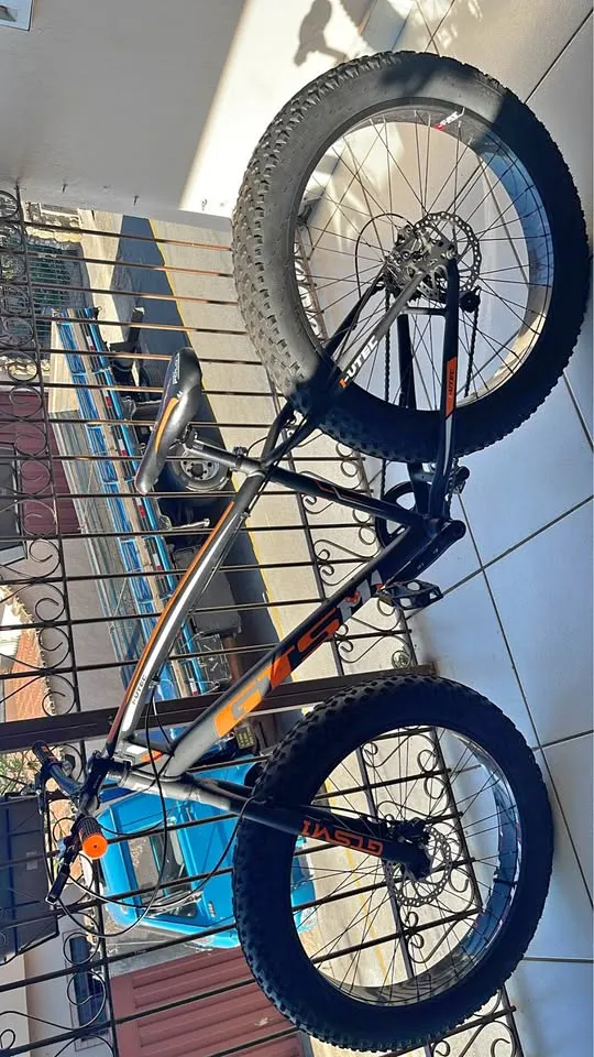 Bicicleta FAT