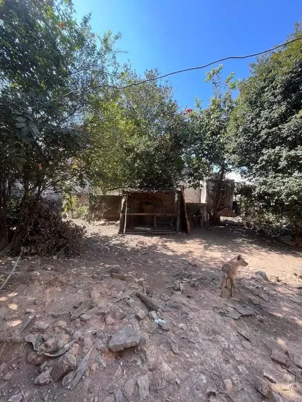 Lote à venda, Graças