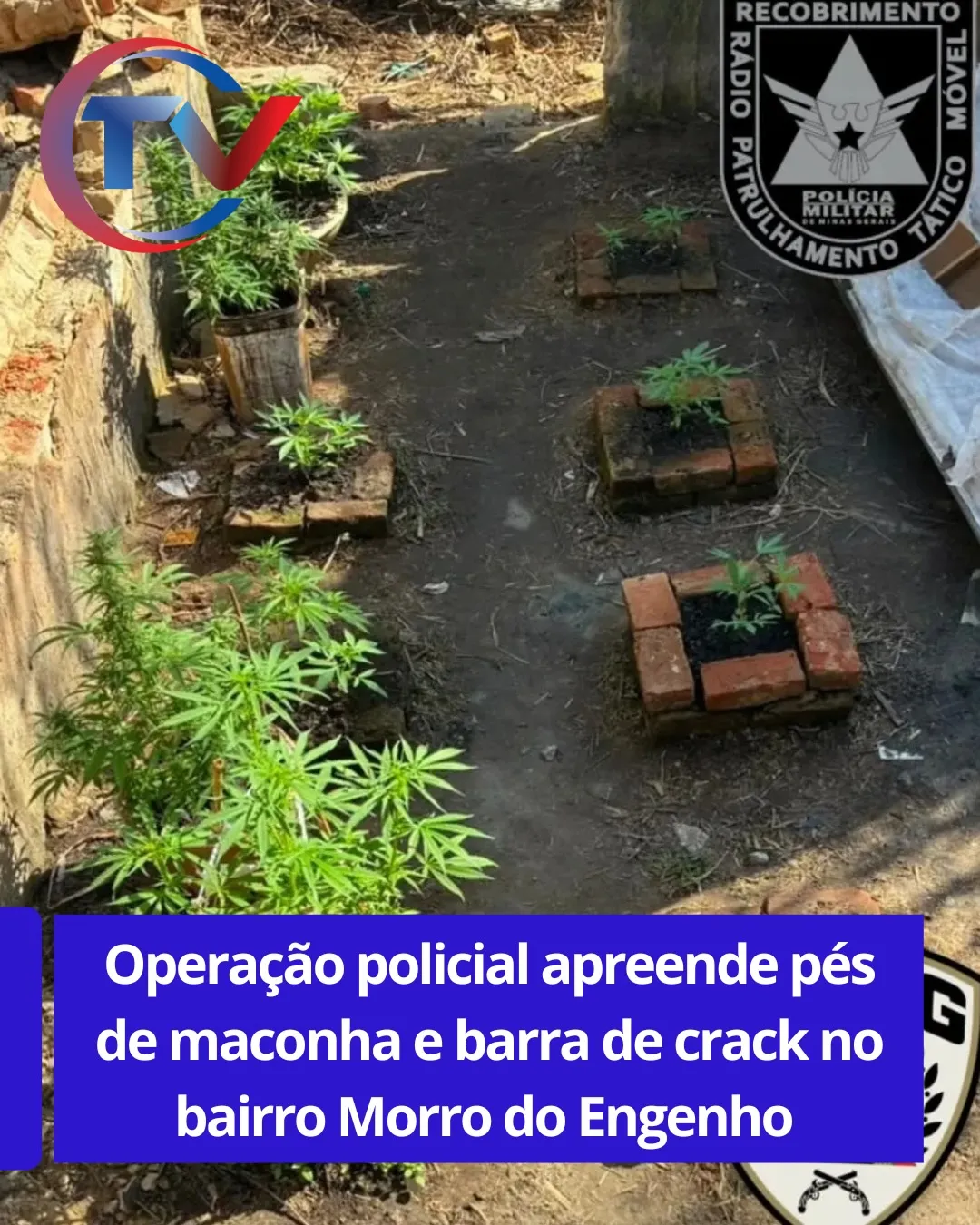 Polícia apreende drogas no Morro do Engenho
