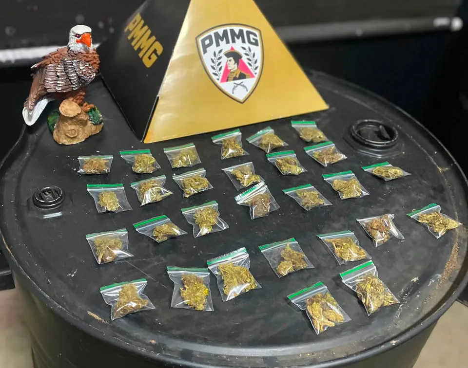 Polícia apreende porções de maconha no Bairro Vila Vilaça