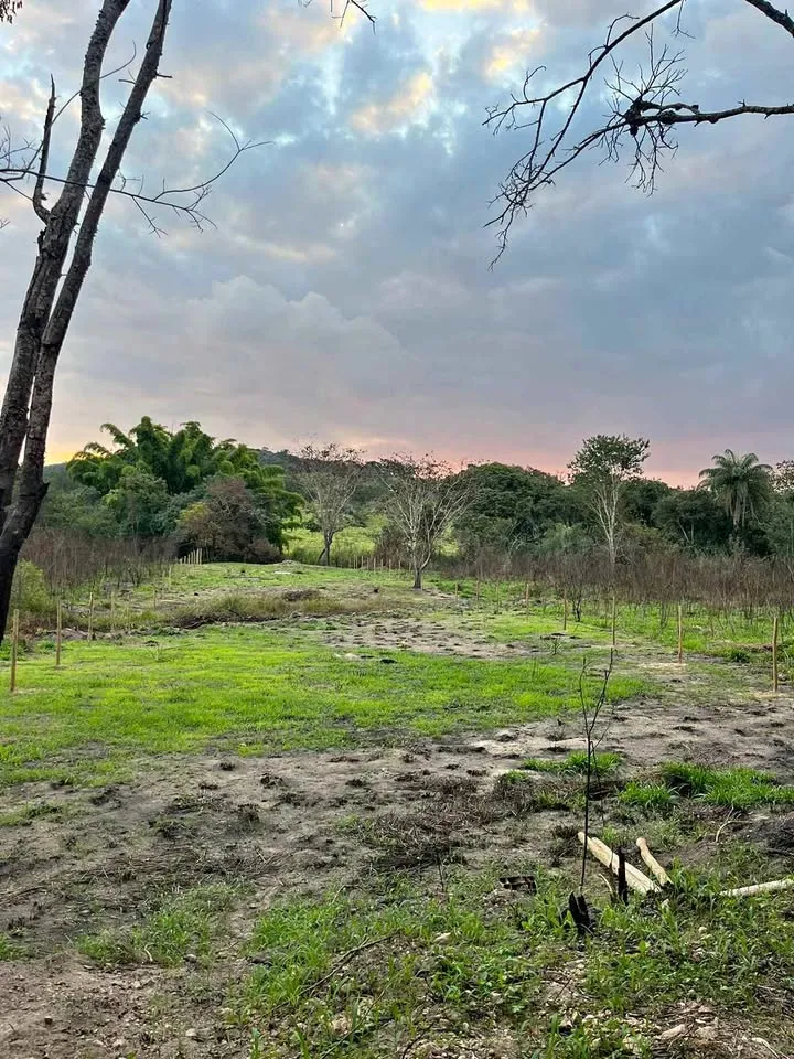 Chácara 1500 m² à venda em Três Barras