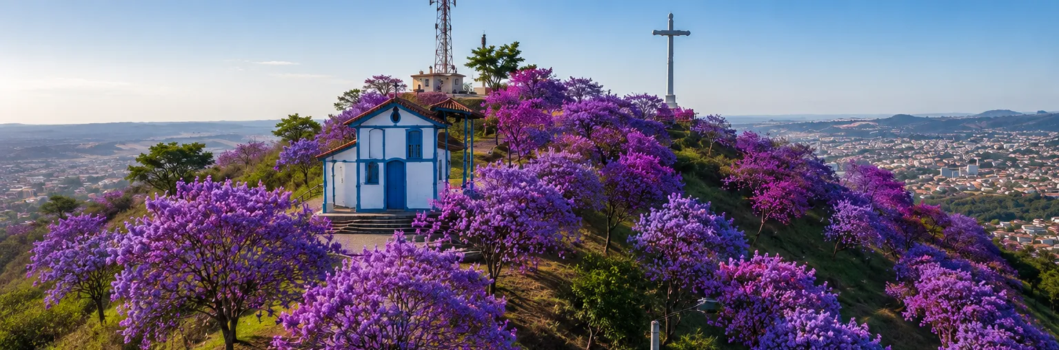 Cidade Jardim: arborização pode transformar paisagem e qualidade de vida em Itaúna