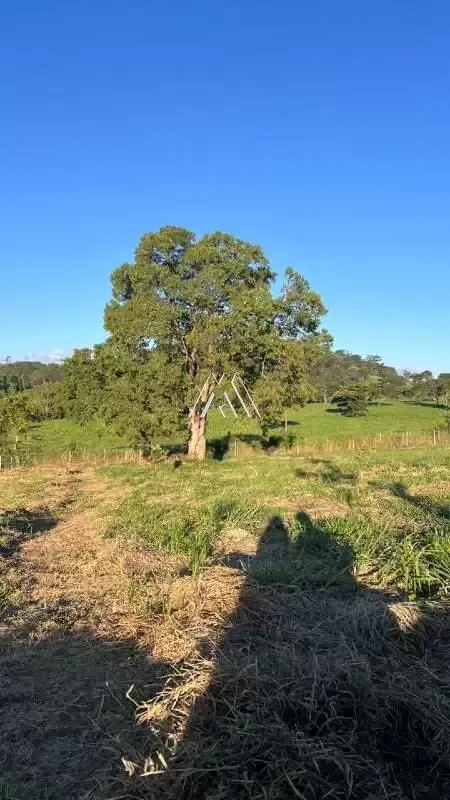 IMÓVEL PARA VENDA - ÁREA RURAL - ITAÚNA MG