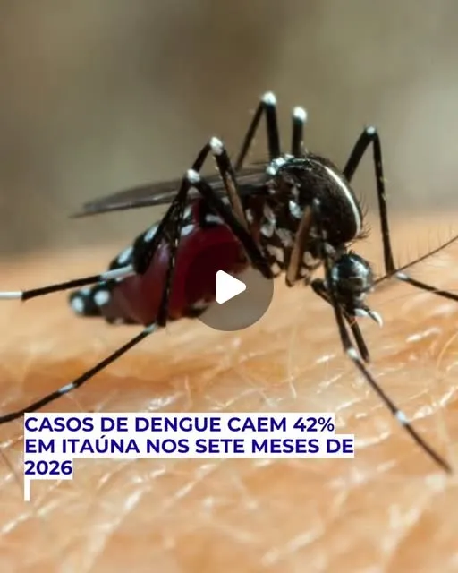 Casos de dengue caem 42% nos sete meses de 2026