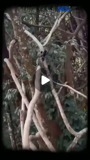 Vivências do SESI Itaúna no Parque Ecológico