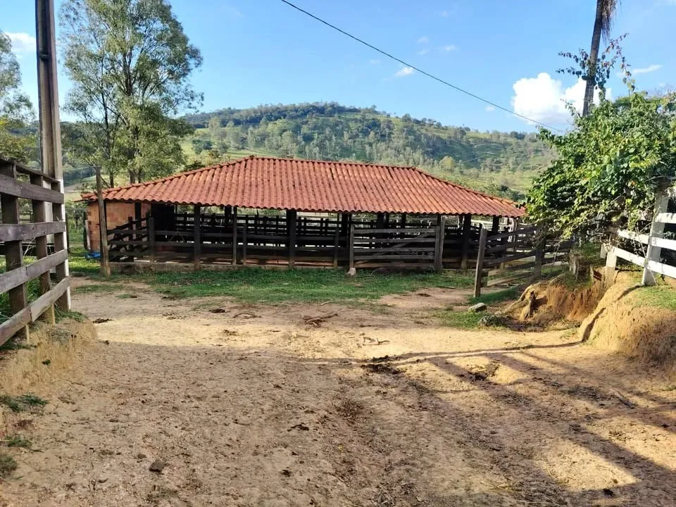 Fazenda de 78 hectares à venda com casa sede