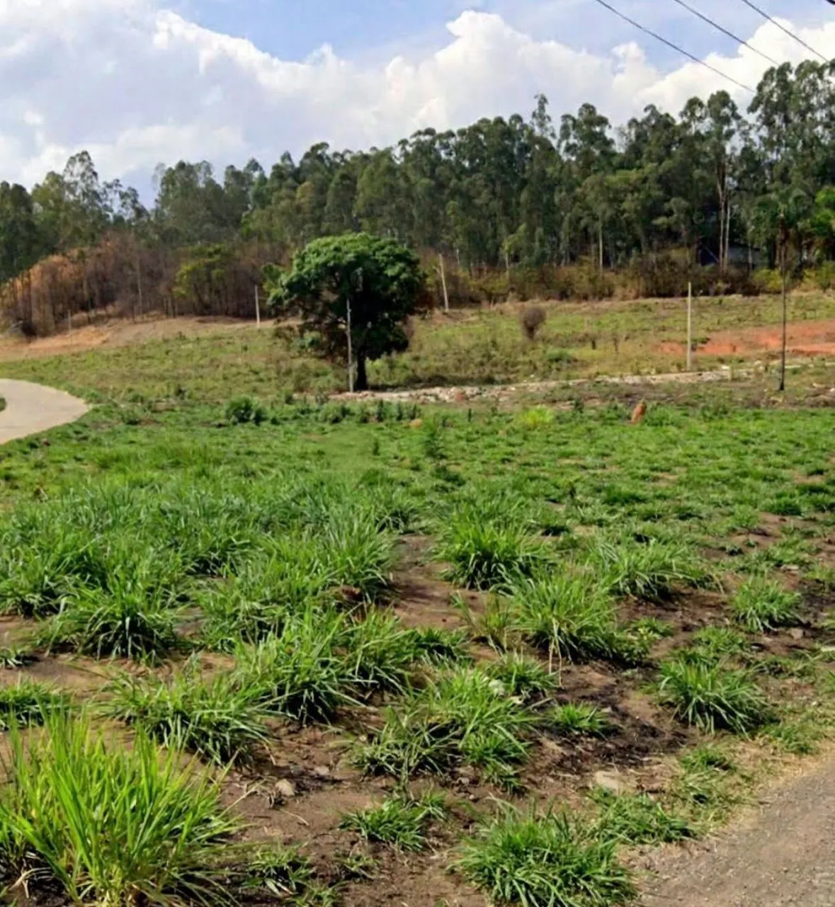 Lotes comerciais à venda em Itaúna