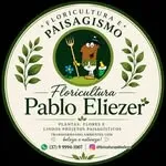 Floricultura e Paisagismo Pablo Eliezer