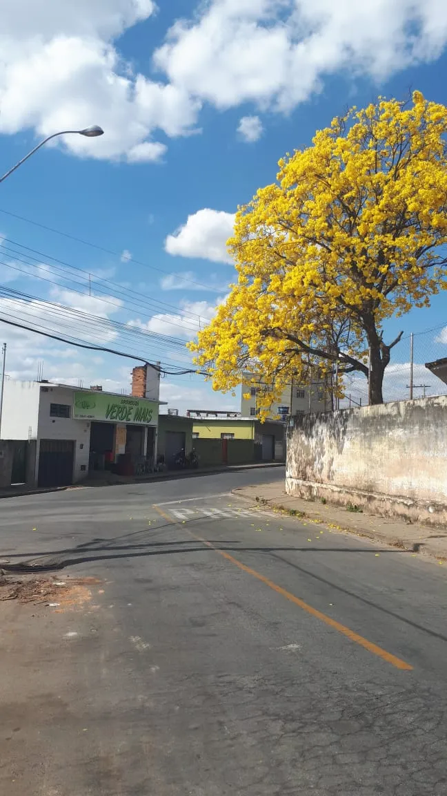 Supermercado Verde Mais