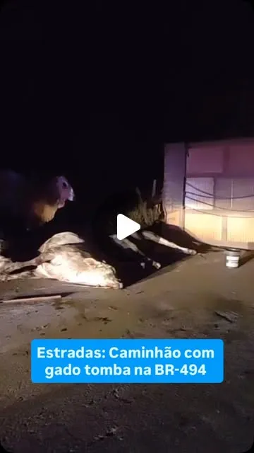 Carreta com gado tomba na BR-494 entre Divinópolis e Nova Serrana