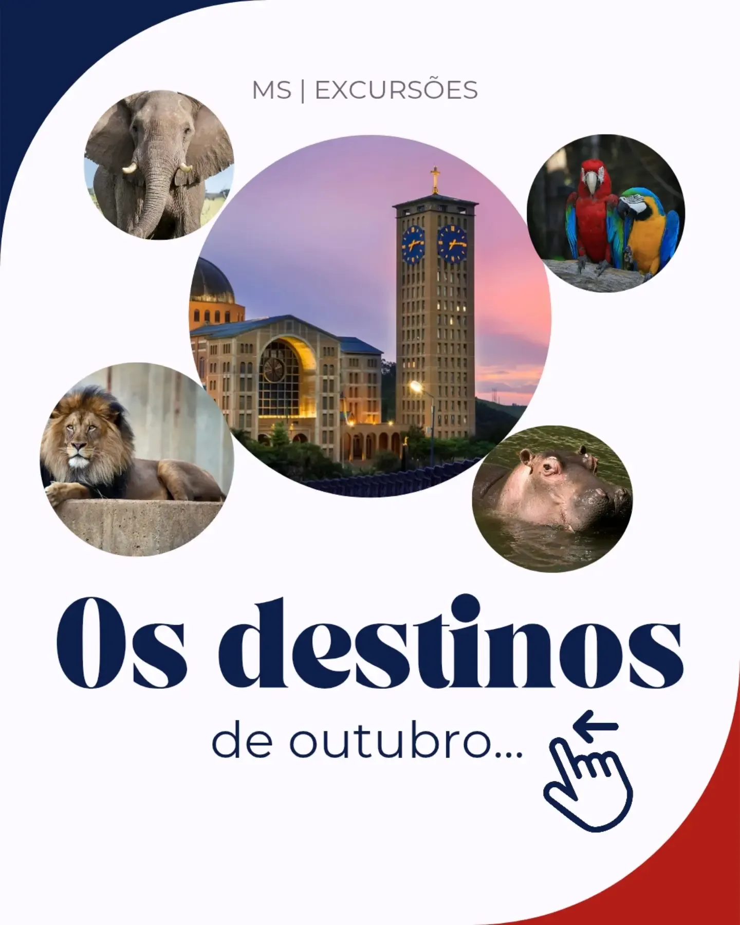 Excursões de outubro com a MS Turismo