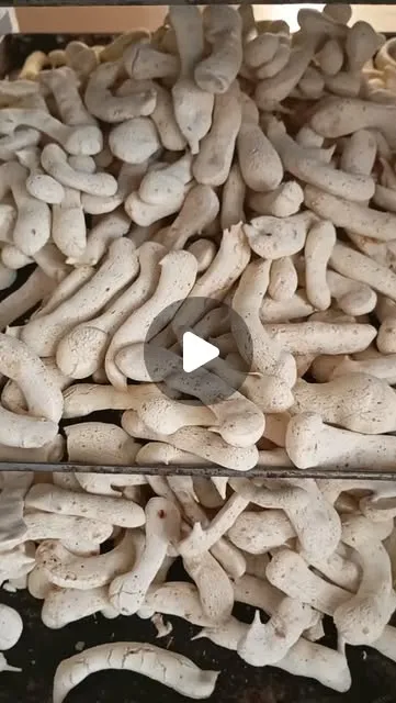 Padaria Pão Nosso: pães frescos todos os dias