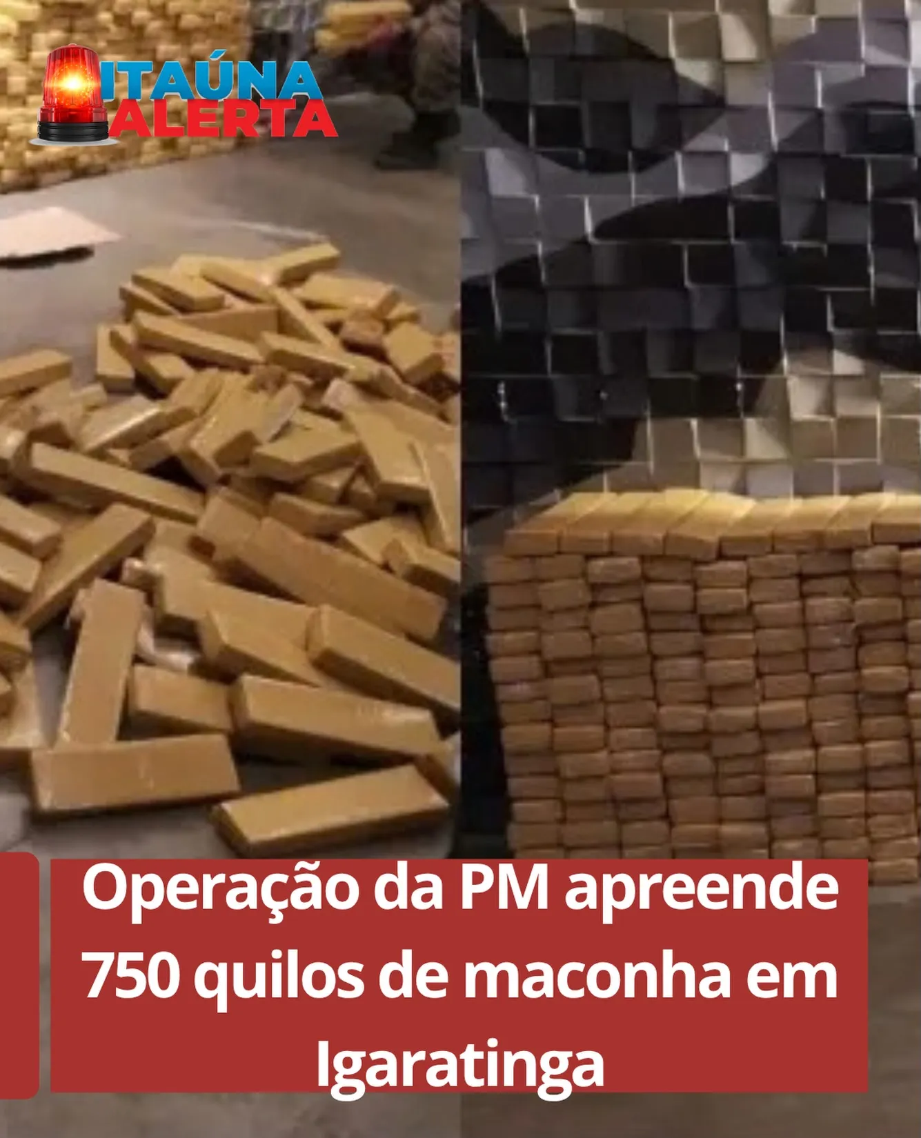 PM apreende 750 kg de maconha em Igaratinga