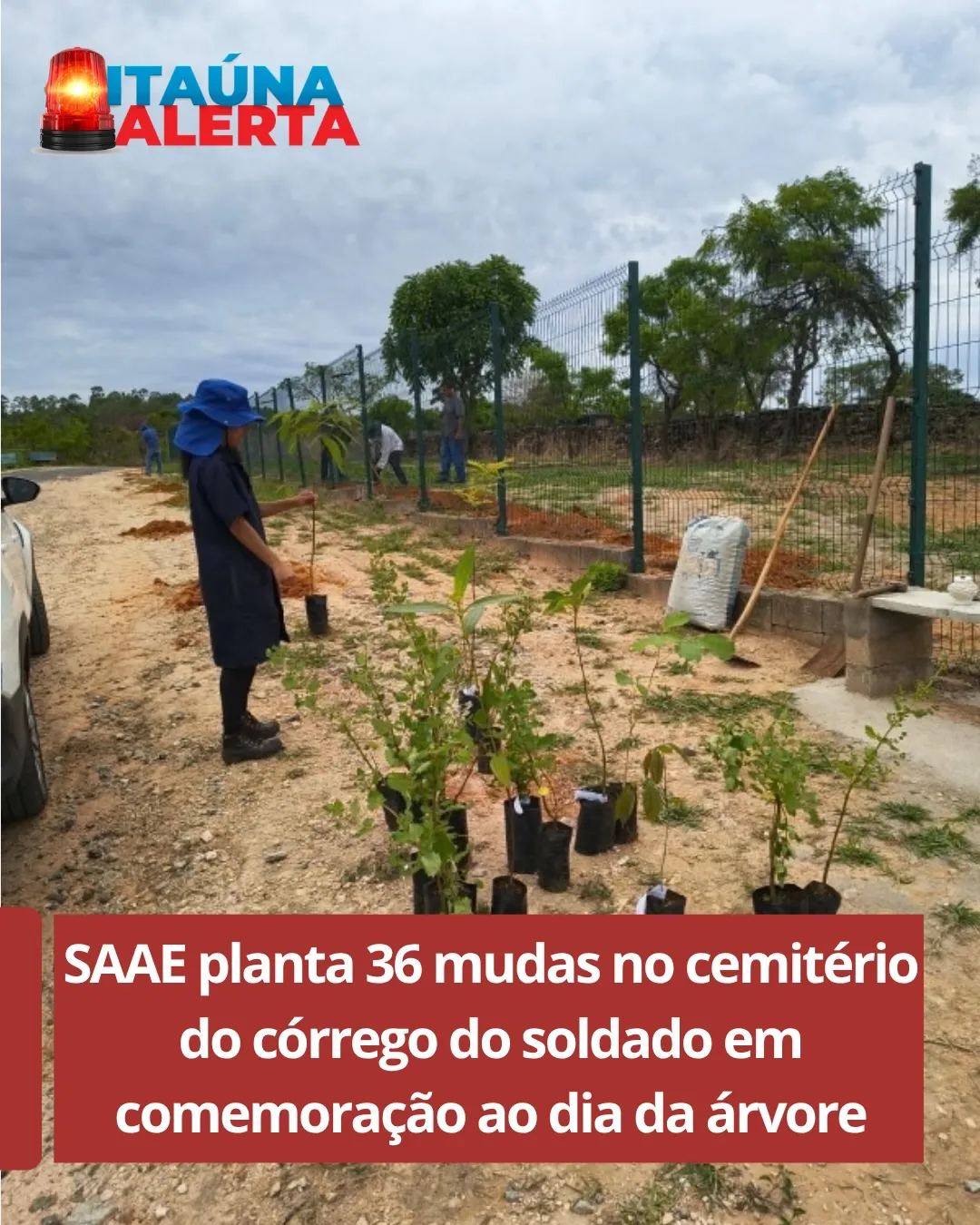 SAAE planta 36 mudas de árvores no Cemitério do Córrego do Soldado