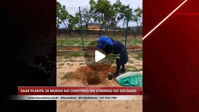 SAAE planta 36 mudas no Cemitério do Córrego do Soldado