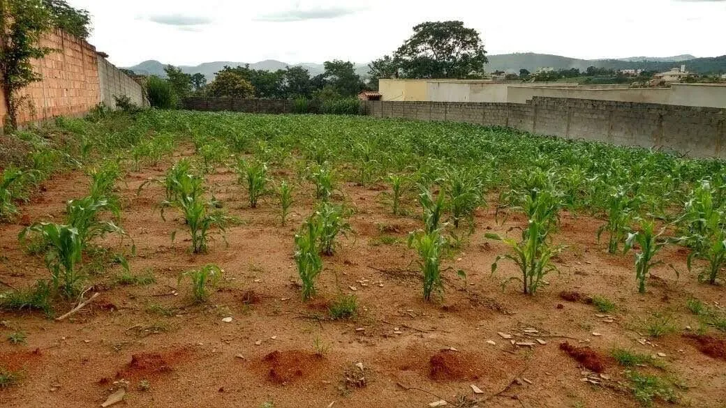 Chácara à venda no Vale das Aroeiras — 1.218 m² murada
