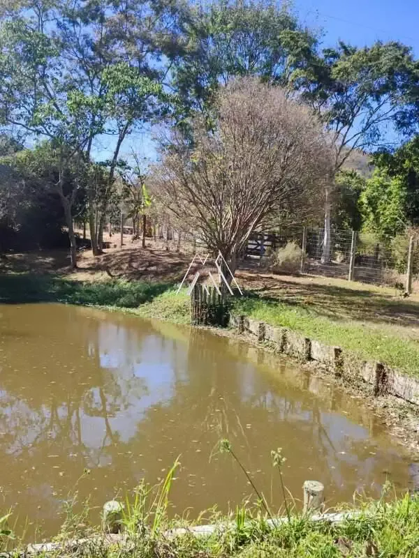 Vendo sítio em Itaúna em excelente localização!