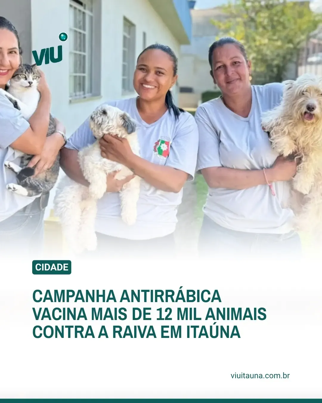 Campanha antirrábica vacina mais de 12 mil animais em Itaúna