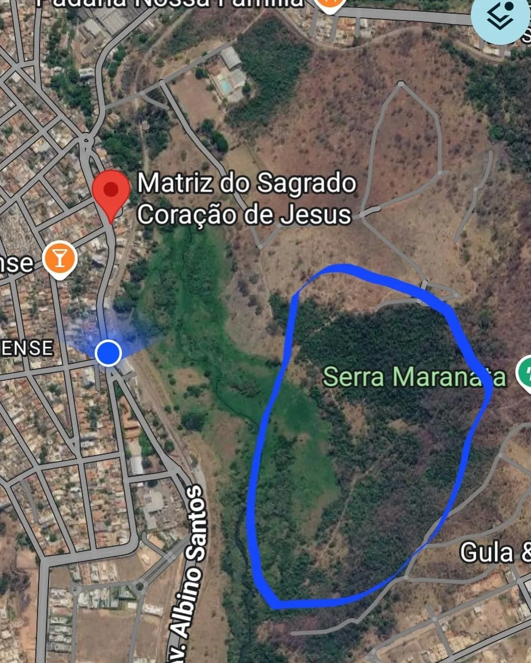 Incêndio em vegetação no bairro Santanense