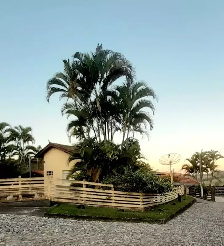 Fazenda à venda na Área Rural — 4 quartos, 2 suítes