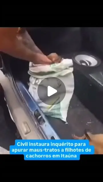 Polícia Civil investiga maus-tratos a seis filhotes em Itaúna