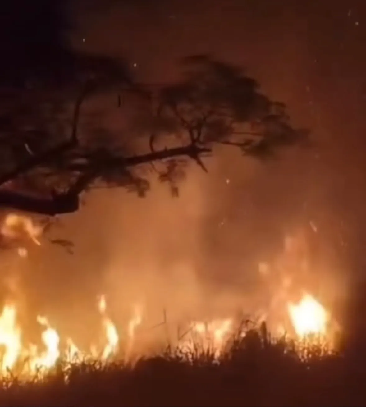 Incêndio atinge área de mata no Bairro Universitário