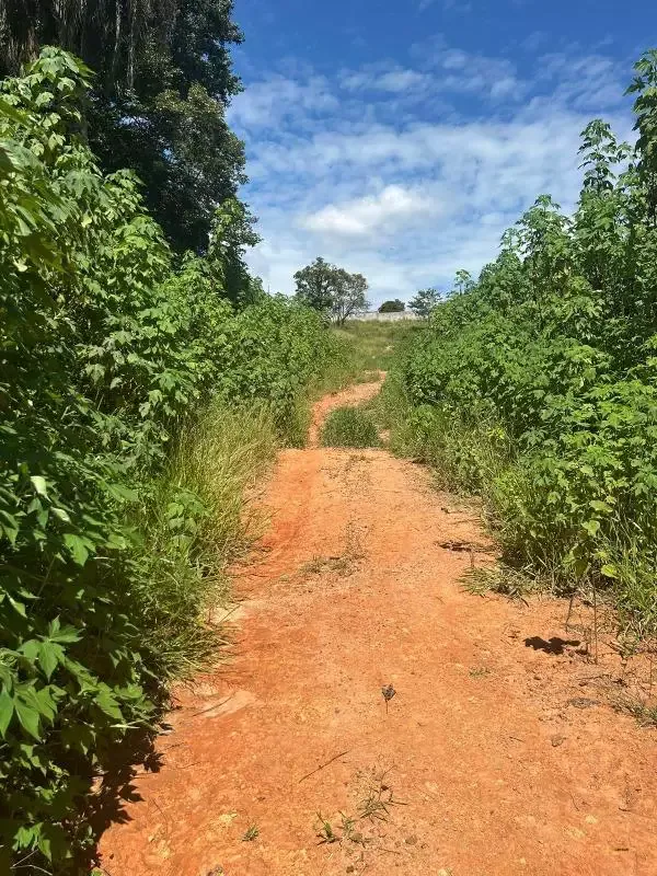 Terreno à venda na Vila Nazaré - Investimento